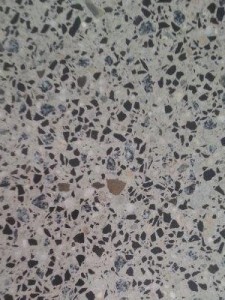 Samsung phone Pictures 197